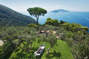 uma vista aérea de um jardim com uma árvore e do oceano em Relais Blu em Massa Lubrense