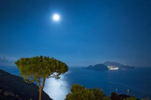 a moon over the water with a tree in the foreground at Relais Blu in Massa Lubrense