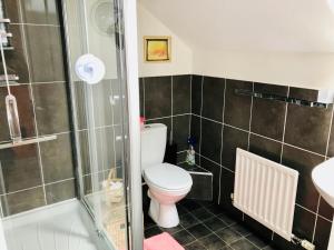 a bathroom with a toilet and a shower and a sink at Canterbury HOMESTAY Ensuite in Canterbury