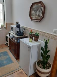 a kitchen with a white refrigerator and a cactus at MARIA INÊS HOUSE in Nazaré +43 photos