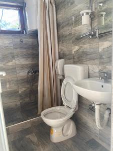 a bathroom with a toilet and a sink at Apartmani Sastavci in Tjentište