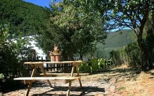 - une table de pique-nique en bois avec des chaises et un arbre dans l'établissement Casa Rural La Fuente, à Tejedo del Sil 6 autres photos