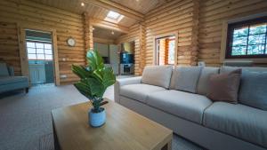 Posezení v ubytování Aspen Lodge, Amazing New Log Cabin with Hot Tub - Sleeps 6 - Felmoor Park