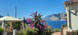 een kerstboom met paarse bloemen voor het water bij Appartamenti Villa Eden in Malcesine