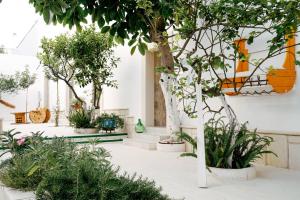 un jardin avec des arbres et des plantes dans un bâtiment dans l'établissement MASSERIA BALSAMO, à Collemeto