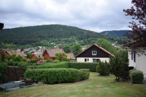 a house in the middle of a yard with a mountain at "Chez J-P" Bel appartement 2 p classé 3 étoiles situé au calme avec terrasse, jardin et WIFI gratuite in Gérardmer