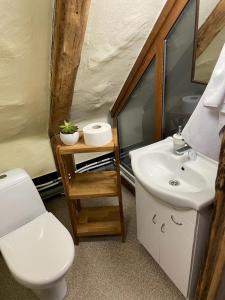 uma casa de banho com um WC branco e um lavatório. em Kapteinis em Liepāja