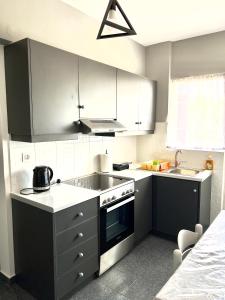 Kuchyň nebo kuchyňský kout v ubytování Atrium Apartment #1