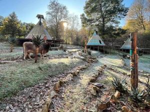 un animal parado en un campo junto a un edificio en The Magical Teepee Experience, en Hogsback