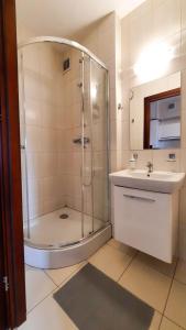 a bathroom with a shower and a sink at APARTAMENTY TR 11 Apartament nr 3 in Olsztyn