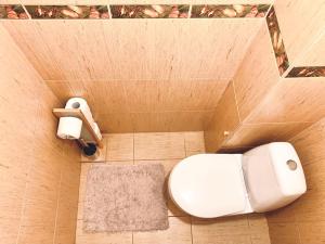 a bathroom with a toilet and a roll of toilet paper at Three bedroom with two terraces for 7people+baby in Kaunas +25 photos