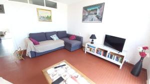 Televízia a/alebo spoločenská miestnosť v ubytovaní LES FLOTS BLEUS - Appartement 2 chambres vue mer