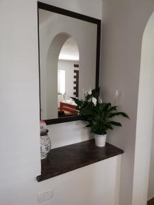 a mirror on a wall with a plant on a shelf at APARTMA VATOVEC in Ankaran