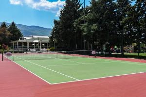 Tenis alebo squash v ubytovaní Aleksandar Palace Hotel Congress Center & SPA alebo jeho okolí