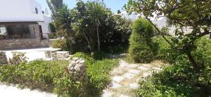 a garden with a bench and trees and a building at Ioanna Apartments in Agios Prokopios