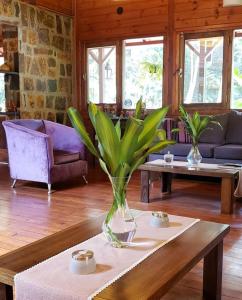 uma sala de estar com um vaso sobre uma mesa em Selva de Laurel em Puerto Iguazú