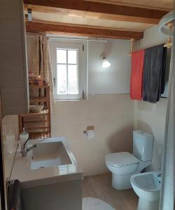 a bathroom with a sink and a toilet and a window at Fuchs Haus in Formazza