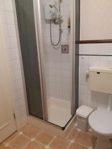 a bathroom with a shower and a toilet at Newton House in Torquay
