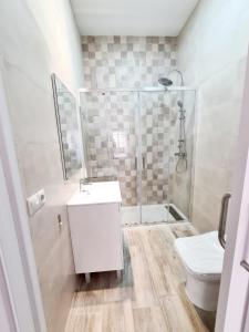 ein Bad mit einer Dusche, einem Waschbecken und einem WC in der Unterkunft Precioso loft centrico in Málaga
