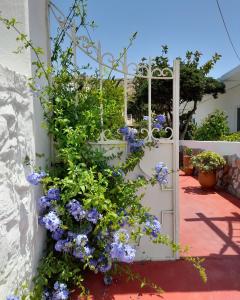 un jardín con flores púrpuras y una puerta blanca en Lilo's Apartments, en Livadi Astypalaias