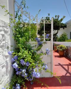 Livadi AstypalaiasにあるLilo's Apartmentsの紫の花と白いドアのある庭園