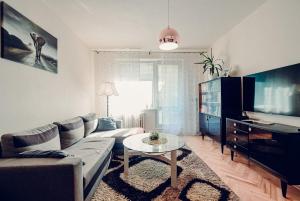 Μια τηλεόραση ή/και κέντρο ψυχαγωγίας στο Apartmán Dobré ráno