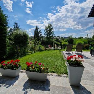 Zahrada ubytování Comfy Plaza
