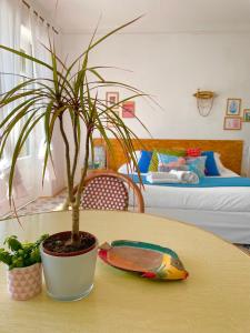 een tafel met een potplant erop bij L´arrière Cour in Cancale