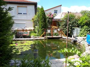 un jardin avec un étang en face d'une maison dans l'établissement Dachstübchen an der Oder, 