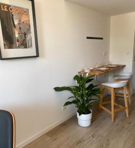 a plant in a room with a table and chairs at Le trait d'Union le Croisic in Le Croisic