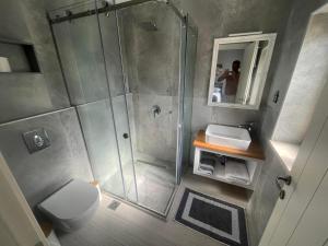 a bathroom with a shower and a toilet and a mirror at Pagoi Village Maissonette in Págoi