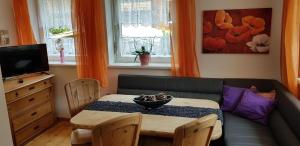 TV a/nebo společenská místnost v ubytování Ferienhaus Alfenz