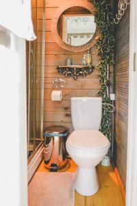 a bathroom with a toilet and a mirror at Villa Irbe in Jūrmala +97 photos