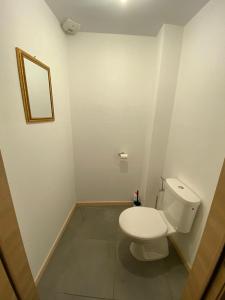 uma casa de banho com um WC branco e um espelho. em APPARTEMENT neuf au centre ville situé au rdc avec terrasse em Givet