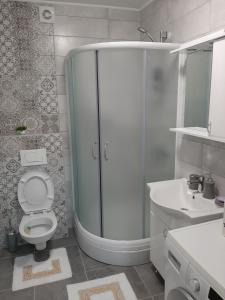a bathroom with a shower and a toilet and a sink at Apartman,,KUL''life in Lukavica