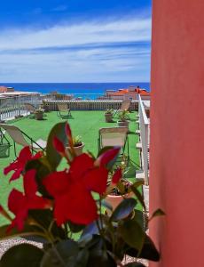 a red flower sitting on a balcony with a view of the ocean at Residence Laura in Bordighera