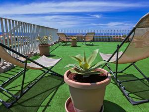 un groupe de chaises et une plante en pot sur un balcon dans l'établissement Residence Laura, à Bordighera