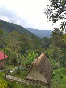 Pemandangan umum gunung atau pemandangan gunung yang diambil dari perkemahan