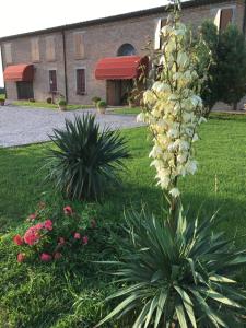 uma planta com flores num quintal com um edifício em Il Frattiero B&B em Voghenza
