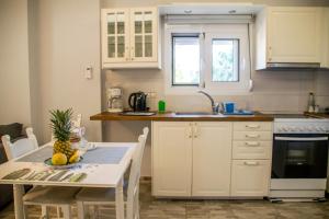 A kitchen or kitchenette at The Prickly Pear Apartment