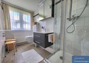 a bathroom with a shower and a sink and a toilet at Friesenhain Ferienwohnungen in Sankt Peter-Ording +40 photos