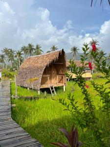 a hut with a thatched roof in a field of grass at Palayan Paradise Huts in San Vicente