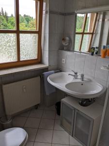 ein Bad mit einem Waschbecken und einem WC in der Unterkunft Ferienwohnung Grenzenblick in Bayerisch Eisenstein