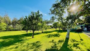 un campo verde con alberi e il sole nel cielo di Villa Irene Pisticci-Matera a Pisticci