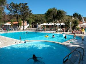 a group of people swimming in a swimming pool at Villaggio Miramare in Livorno