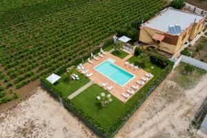 an aerial view of a estate with a swimming pool and a vineyard at Alle Vigne Affittacamere in Alcamo