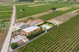 an aerial view of a house in a vineyard at Alle Vigne Affittacamere in Alcamo