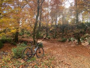 Galería fotográfica de La Torre d' Espinalbet en Castellar del Riu 40 fotos más