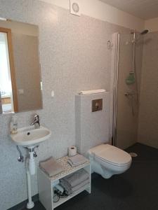 a bathroom with a sink and a toilet and a mirror at Setberg in Egilsstaðir