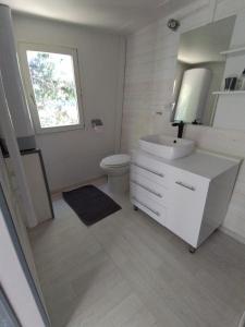 uma casa de banho com um lavatório, um WC e uma janela. em STUDIO INDEPENDANT ET TINY HOUSE DANS FERME 18ème em Saint-Michel-sur-Savasse